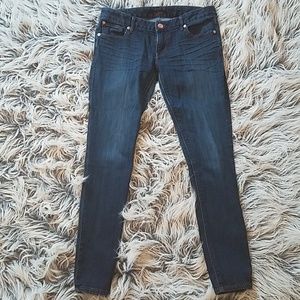 Express Dark Wash Skinny Jeans